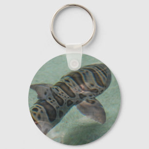 Chaveiro do tubarão de tigre