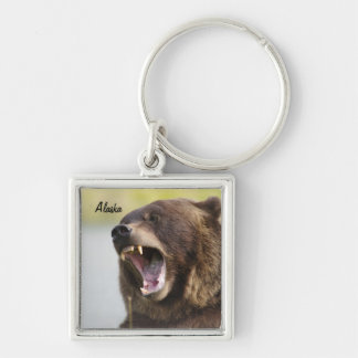 Chaveiro do urso de Alaska Brown