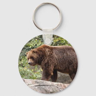 Chaveiro do urso de urso