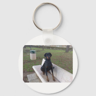 Chaveiro doberman pincher.png