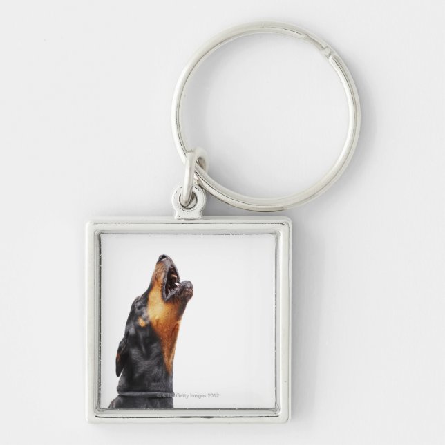 Chaveiro Doberman que urra (Frente)