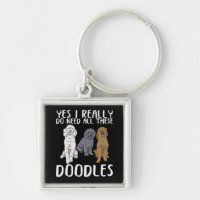Dog Doodle Mamãe Oferece Pai Labradoodle Doodle