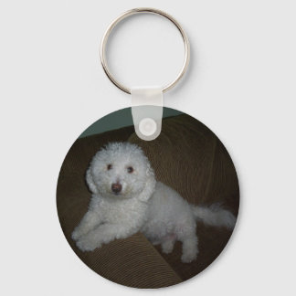 Chaveiro Dogluv