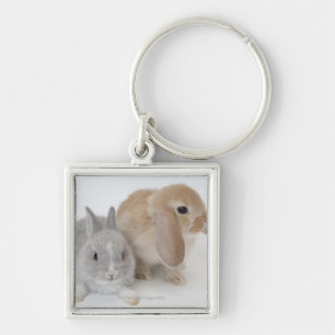 Chaveiro Dois anão dos coelhos Netherland & Holland Lop