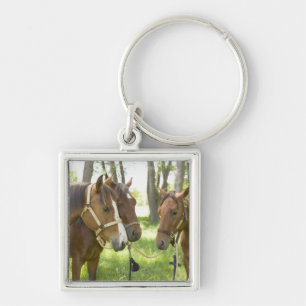 Chaveiro Dois cavalos de um quarto americanos que estão na