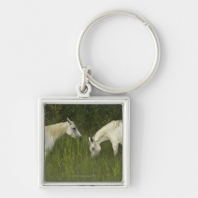 Chaveiro Dois cavalos que comem a grama (Frente)