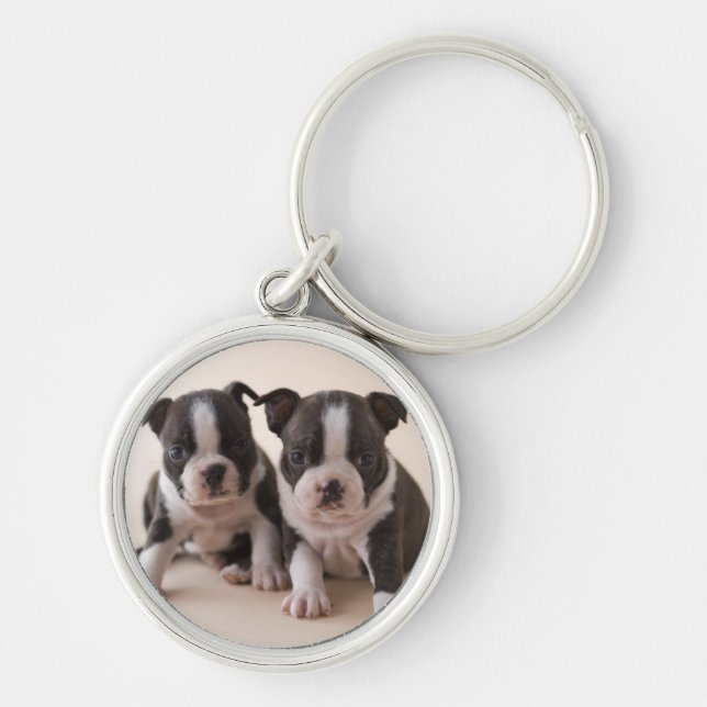 Chaveiro Dois filhotes de cachorro de Boston Terrier (Frente)