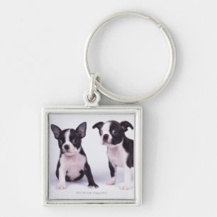 Chaveiro Dois filhotes de cachorro preto e branco