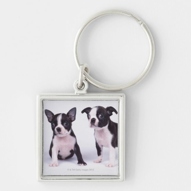 Chaveiro Dois filhotes de cachorro preto e branco (Frente)