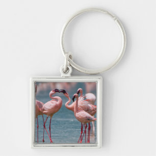 Chaveiro Dois Flamingos Menores Machos (Phoenicopterus Mino