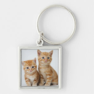Chaveiro Dois gatinhos adoráveis