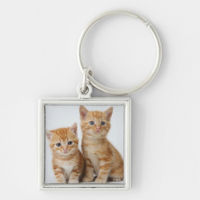 Chaveiro Dois gatinhos adoráveis (Frente)