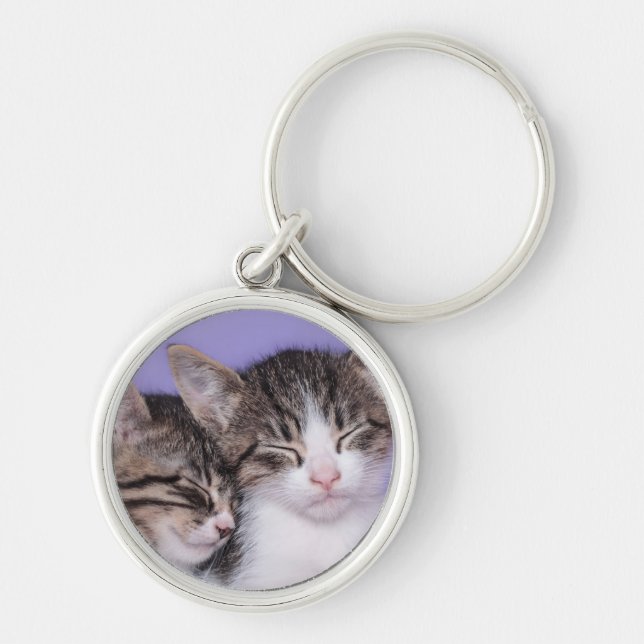 Chaveiro Dois gatinhos bonitos que Napping (Frente)