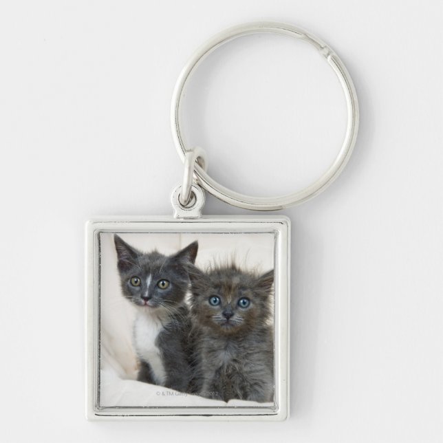 Chaveiro Dois gatinhos do gato malhado (Frente)