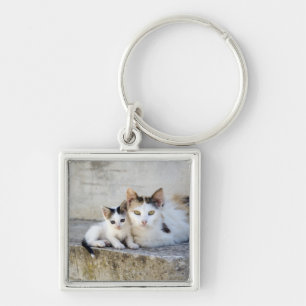 Chaveiro Dois gatos nas etapas de pedra