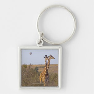 Chaveiro Dois girafas (camelopardalis) do Giraffa, Masai