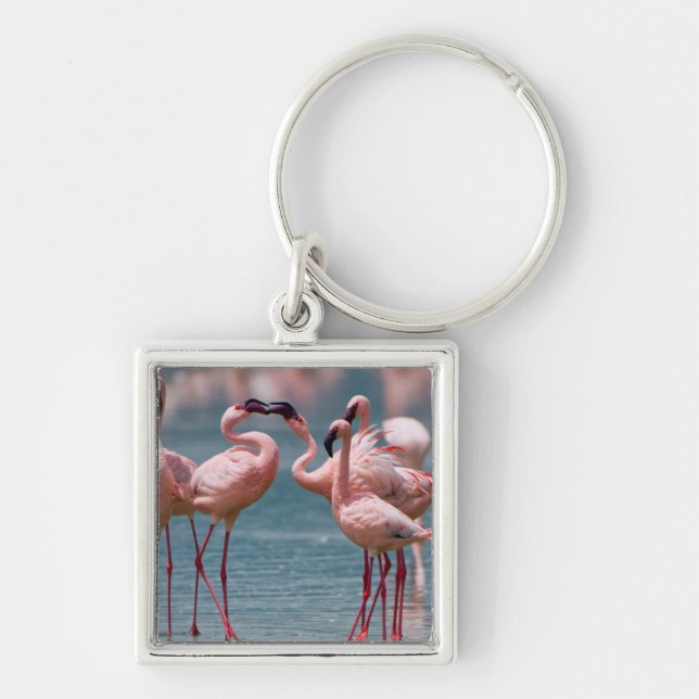 Chaveiro Dois Menores Flamingos (Phoenicopterus Minor) (Frente)