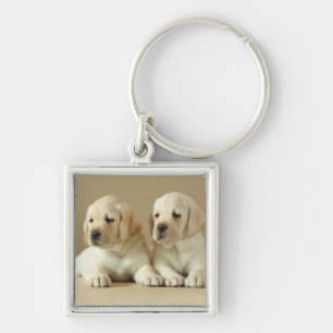 Chaveiro Dois Ouros De Labrador