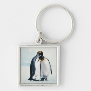 Chaveiro Dois pinguins afectuosos