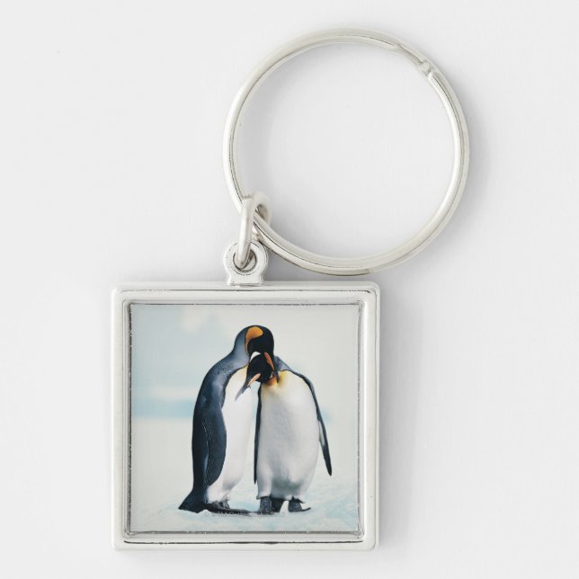 Chaveiro Dois pinguins afectuosos (Frente)