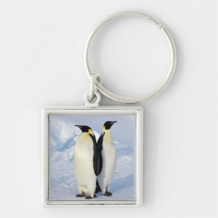 Chaveiro Dois pinguins de imperador na Antártica