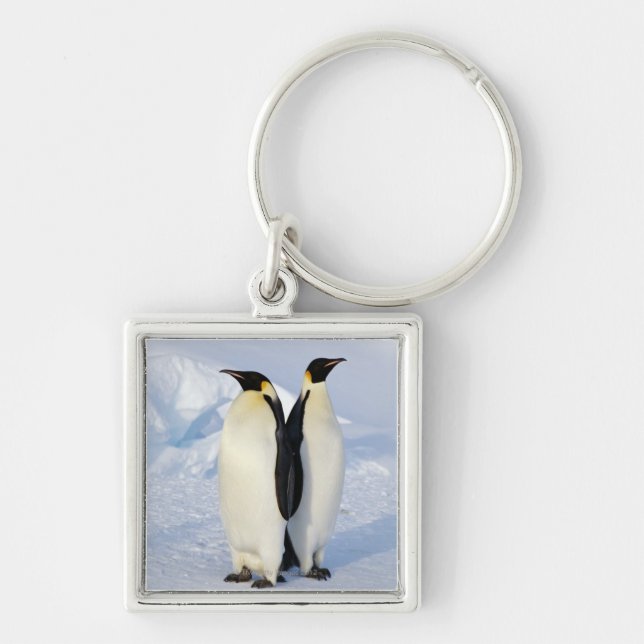 Chaveiro Dois pinguins de imperador na Antártica (Frente)