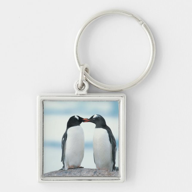 Chaveiro Dois pinguins que tocam nos bicos (Frente)