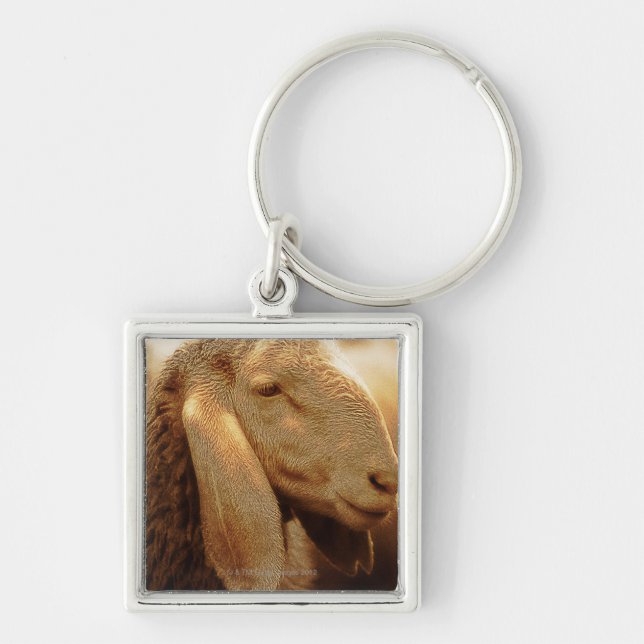 Chaveiro Dolomites orelhudas longas dos carneiros, Italia (Frente)