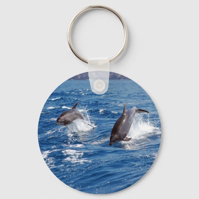Chaveiro Dolphin Adventure (Frente)