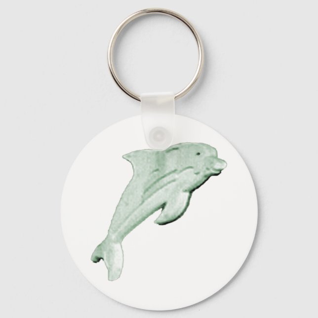 Chaveiro Dolphin Daytona Beach 2009 jGibney O MUSEUM Zazz (Frente)