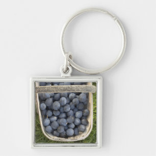 Chaveiro Domestica do Prunus, ameixas