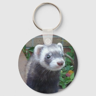 Chaveiro Doninha do Polecat
