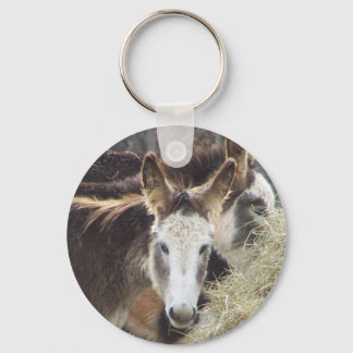 Chaveiro Donkey