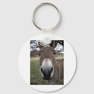 CHAVEIRO DONKEY