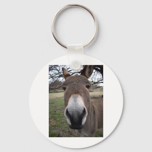 CHAVEIRO DONKEY (Frente)
