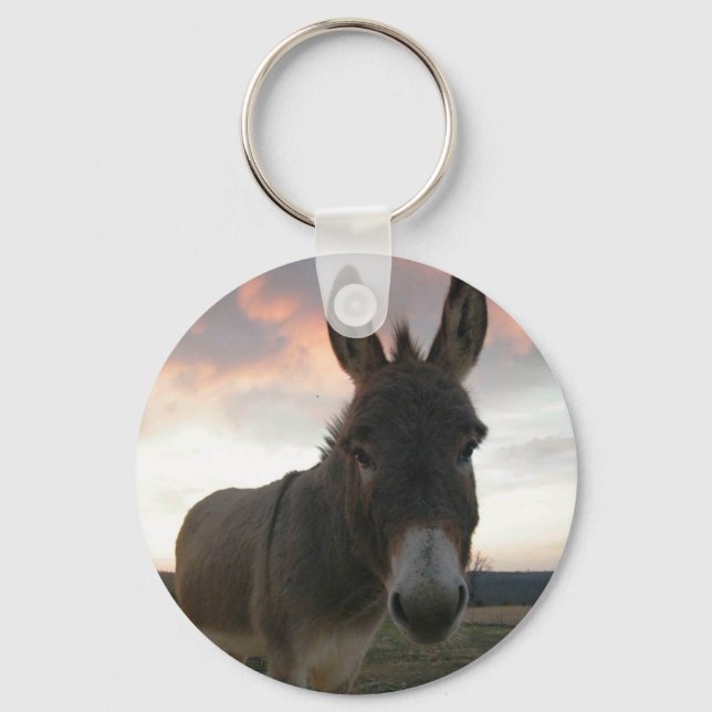 Chaveiro Donkey Art (Frente)