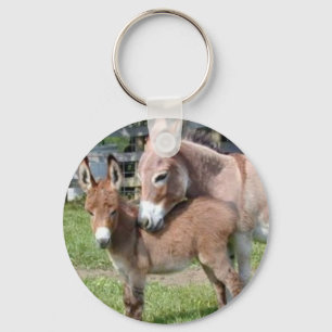 Chaveiro Donkey e Baby