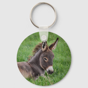 Chaveiro Donkey Na Grama