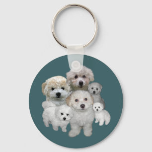 Chaveiro dos filhotes de cachorro de Bichon Frise