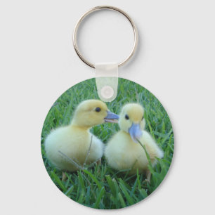 Chaveiro dos patos