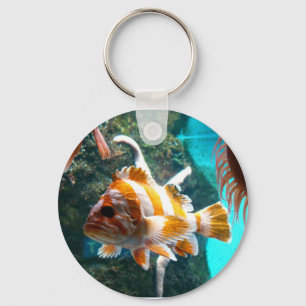 chaveiro dos peixes
