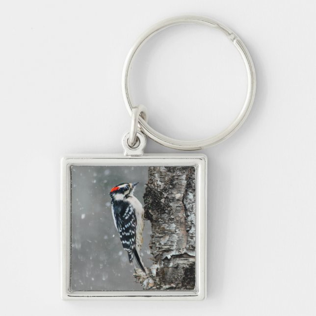 Chaveiro Downy Woodpecker em Neve - Foto Original (Frente)