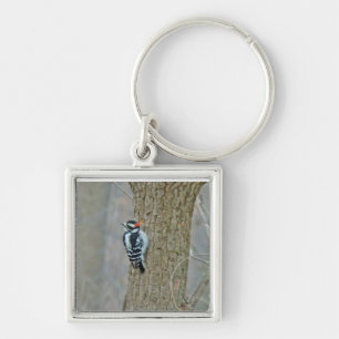 Chaveiro Downy Woodpecker Items