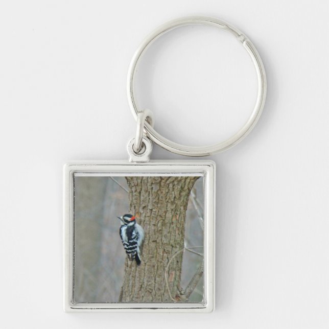 Chaveiro Downy Woodpecker Items (Frente)