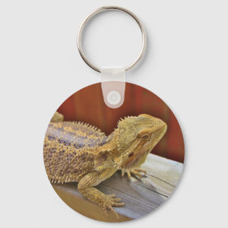 Chaveiro Dragão 2 de pouso