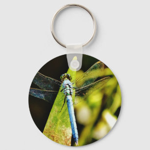 Chaveiro Dragonfly Azul