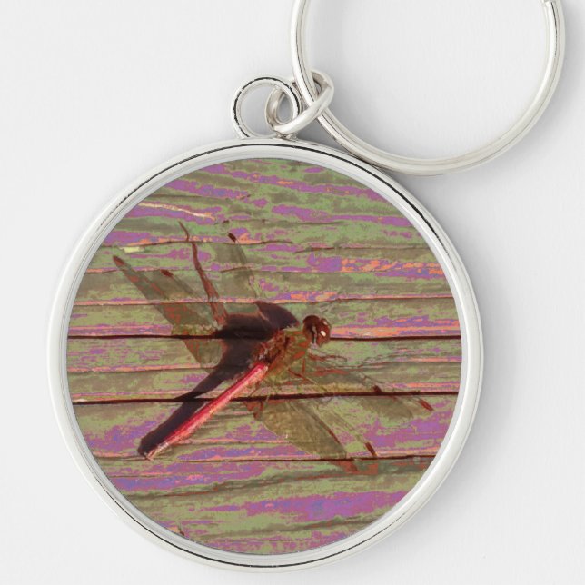 Chaveiro Dragonfly Colorful (Frente)