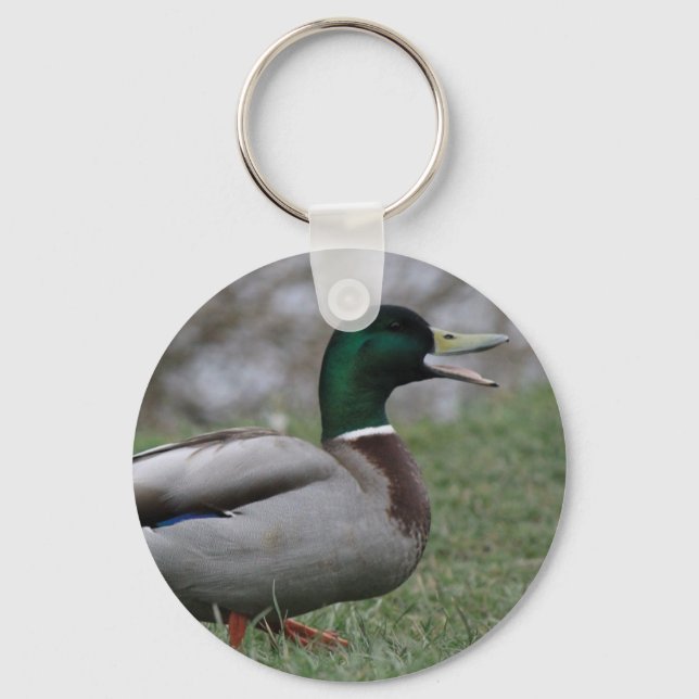 Chaveiro Drake Mallard Duck (Frente)