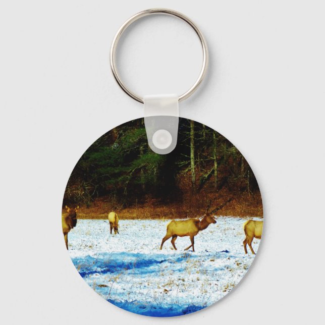 CHAVEIRO DSC00131.JPG (Frente)