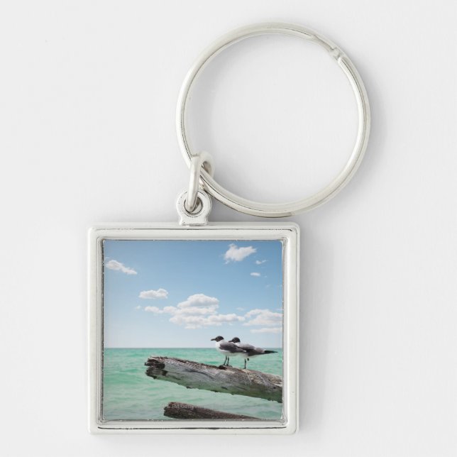 Chaveiro Duas gaivotas que sentam-se em uma árvore (Frente)